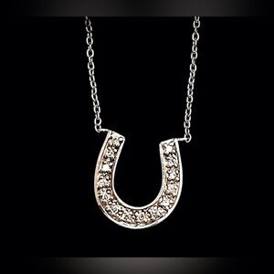 Genuine Diamond 14K White Gold Lucky Horseshoe Necklace